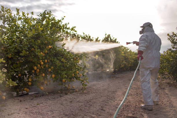 Pest Control for Restaurants in Jamestown, NY